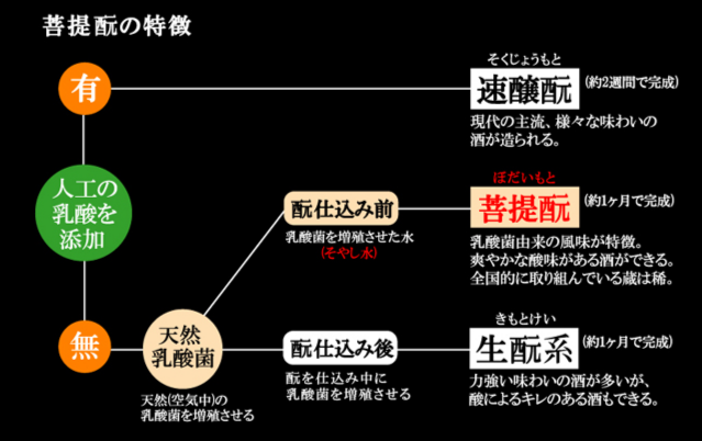 菩提?の特徴